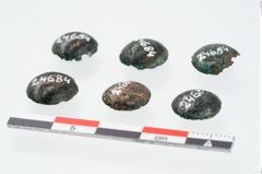 Foto von Bronzeknopf (NHMW-PRAE-024684)